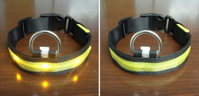 LED Flashing Dog Collar