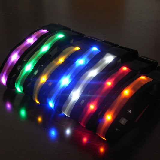 LED Flashing Dog Collar