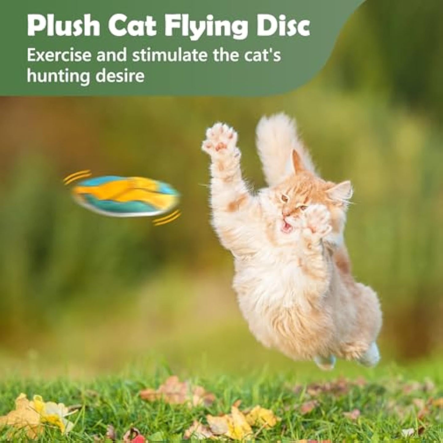 Catnip Flying Disc Toy for Indoor Cats