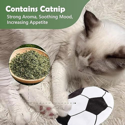 Catnip Flying Disc Toy for Indoor Cats