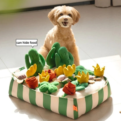 Pet Dog Food Dispensing Educational Toy