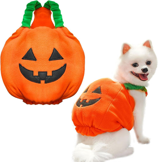 Funny Pumpkin Halloween Pet Costume