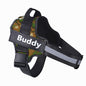 Personalized Reflective No-Pull Dog Harness