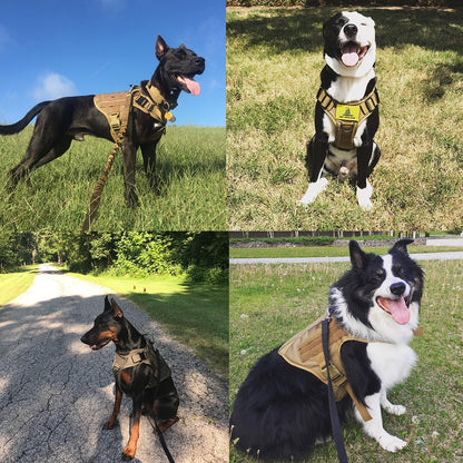 Pet Sports Training Vest