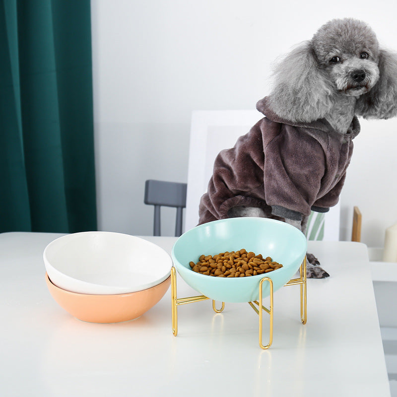 Pet Feeding Bowl