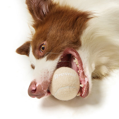 Outdoor Interactive Tennis Ball Toy for Dogs