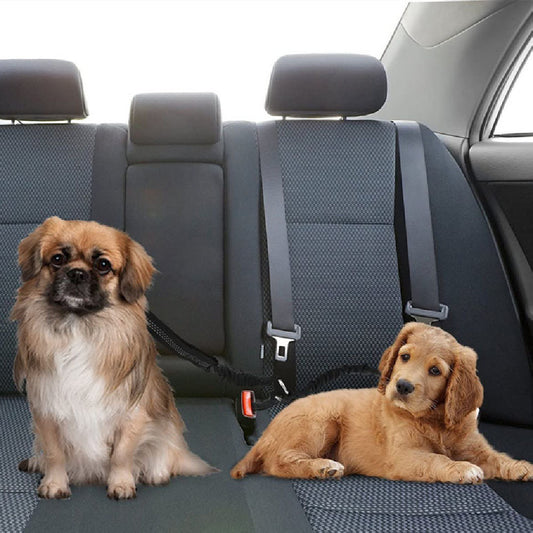 Double-Ended Pet Car Seat Belt