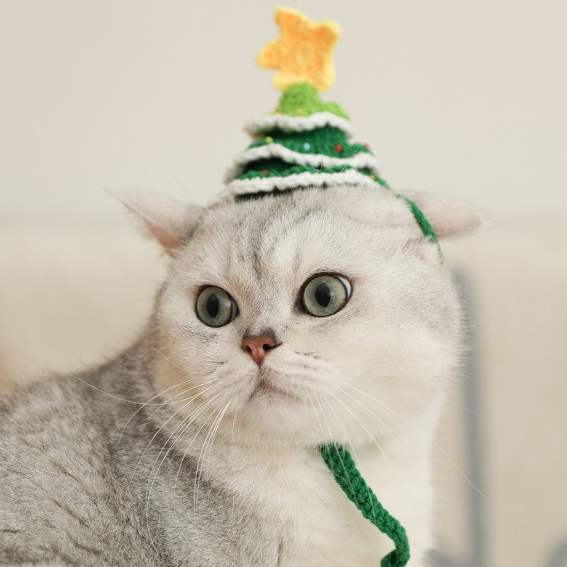 Christmas Tree Cat Hat