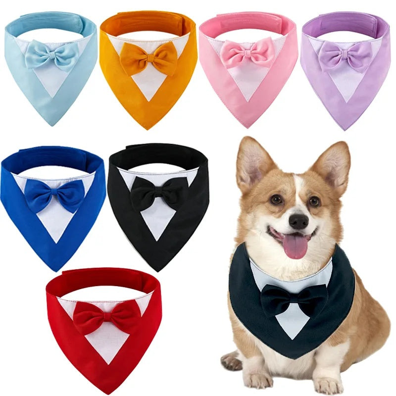 Pet Triangle Bib and Bow Tie Scarf