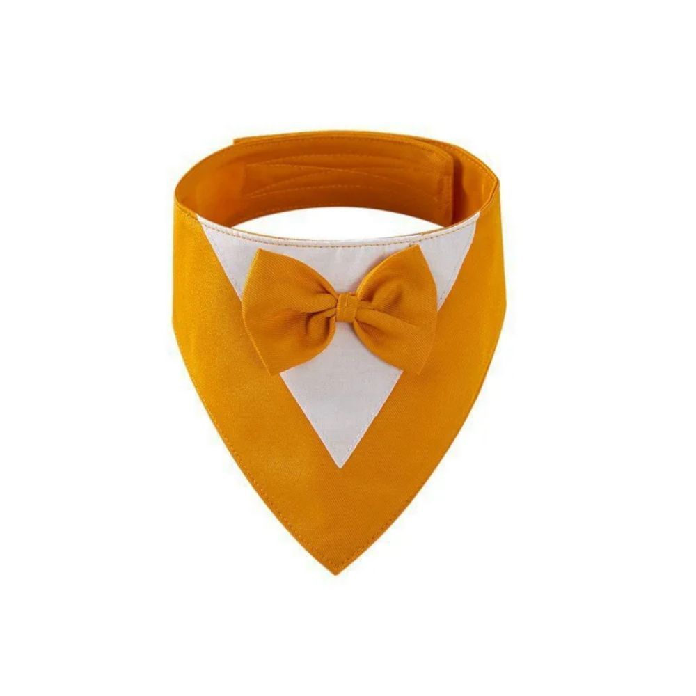 Pet Triangle Bib and Bow Tie Scarf