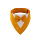 Pet Triangle Bib and Bow Tie Scarf