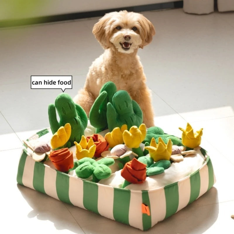 Pet Dog Food Dispensing Educational Toy