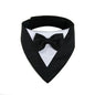 Pet Triangle Bib and Bow Tie Scarf