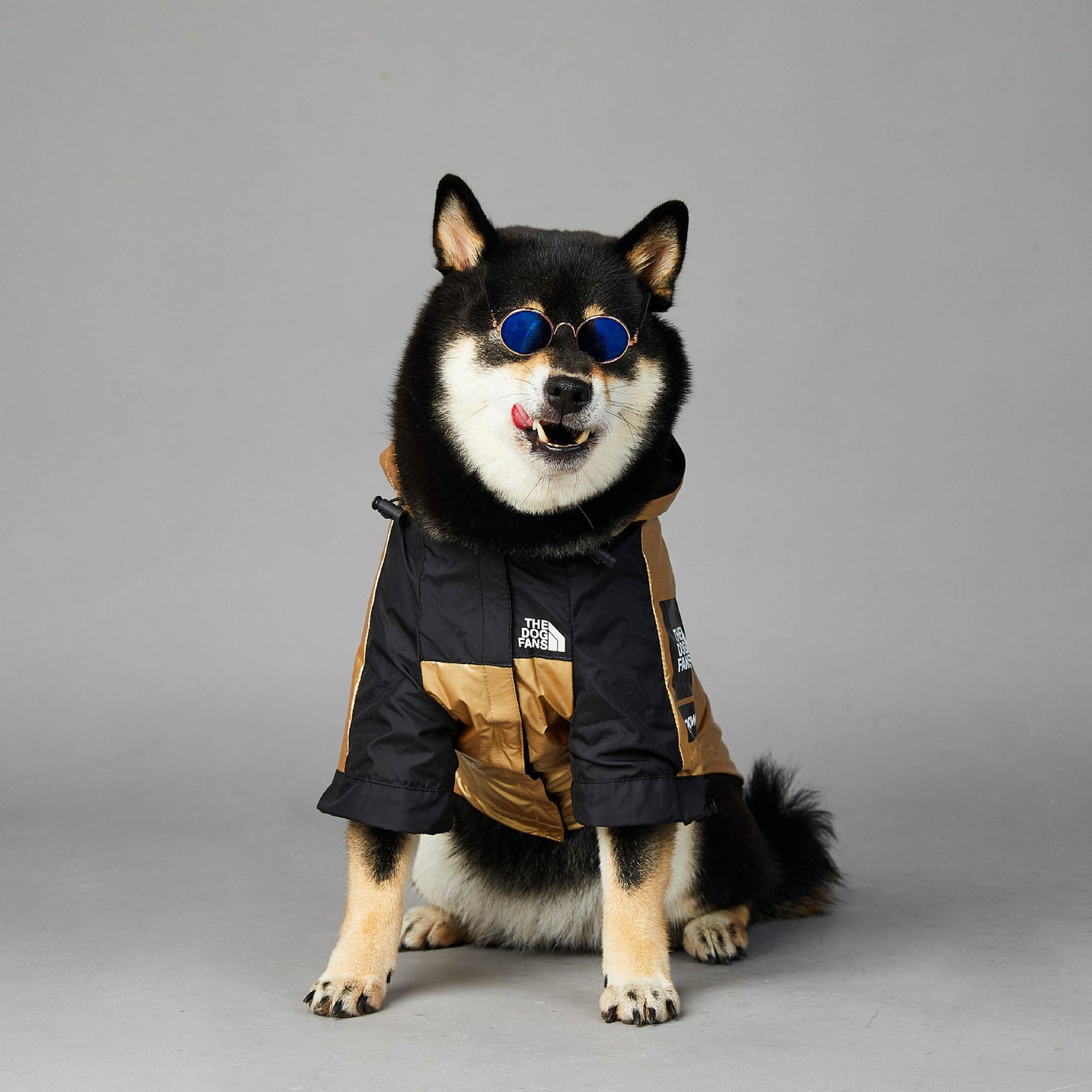 Dog Raincoat Jacket