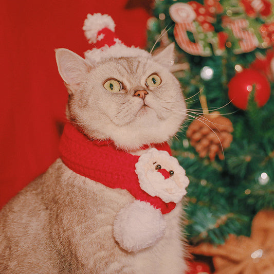 Festive Hand-Woven Pet Christmas Hat