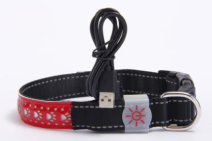 LED Leather Collar for Pets