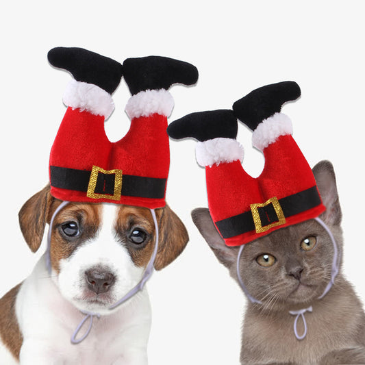 Dog & Cat Christmas Hat