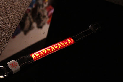 LED Leather Collar for Pets