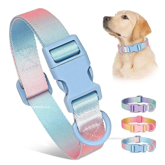 Adjustable Gradient Nylon Pet Collar