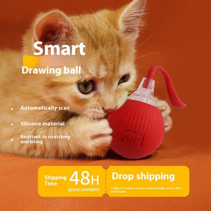 Interactive Cat Toy Ball with Chirping Sounds