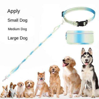 Hands-Free Adjustable Dog Leash with Waist Belt