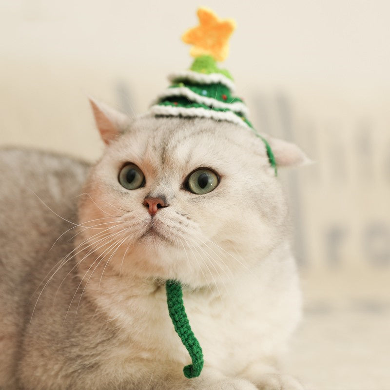 Christmas Tree Cat Hat